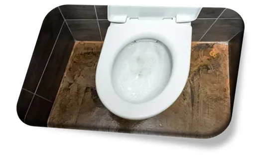 Desentupimento de Vasos Sanitários